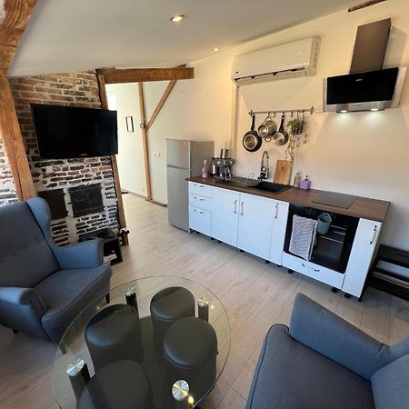 Bellevue Appartement Sous Les Toits Hypercentre Climatise Ντολ Εξωτερικό φωτογραφία